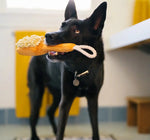 Іграшка для собак Splish Splash - Bark n' Bristles Pet Play