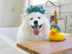 Іграшка для собак Splish Splash - Shower Quack Pet Play