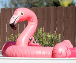 Іграшка для собак Tropical Paradise - Flamingo Float Pet Play