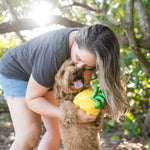Іграшка для собак Tropical Paradise - Pineapple Pet Play