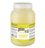 Шампунь Iv San Bernard Ginger and Elderberry дезінфікуюча, з бузиною та імбирем