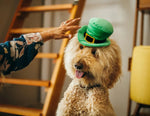 Капелюх для собак Mutt Hatter - Leprechaun Pet Play