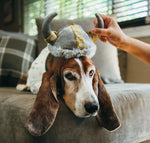 Капелюх для собак Mutt Hatter - Viking Pet Play