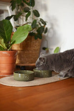 Керамічна миска із сферичним дном Bowl Olive