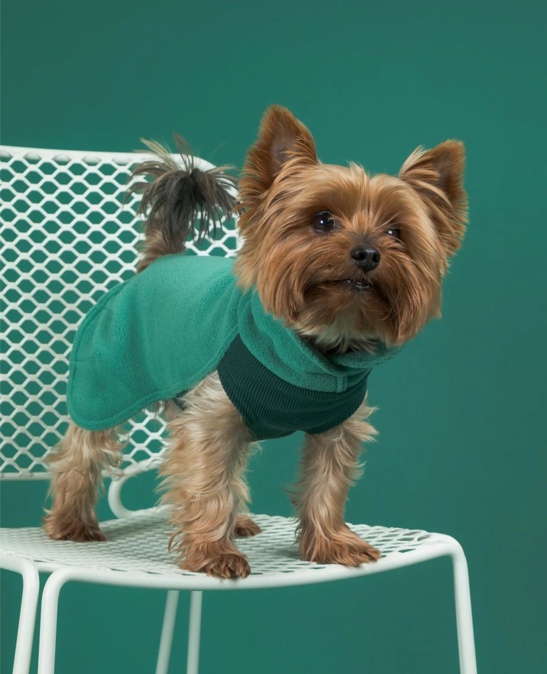 Кофта для собак Seawool Green Paikka