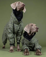 Комбінезон для собак Rain Suit Green Paikka