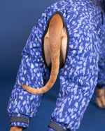 Комбінезон для собак Winter Suit blue Paikka