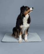 Килимок для собак Охолоджуючий Cooling Blanket Grey Paikka