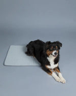 Килимок для собак Охолоджуючий Cooling Blanket Grey Paikka
