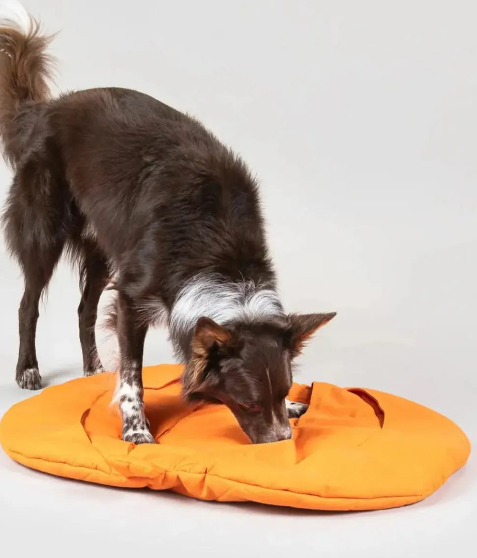 Килимок для собак пошуковий Pumpkin Playmate Paikka