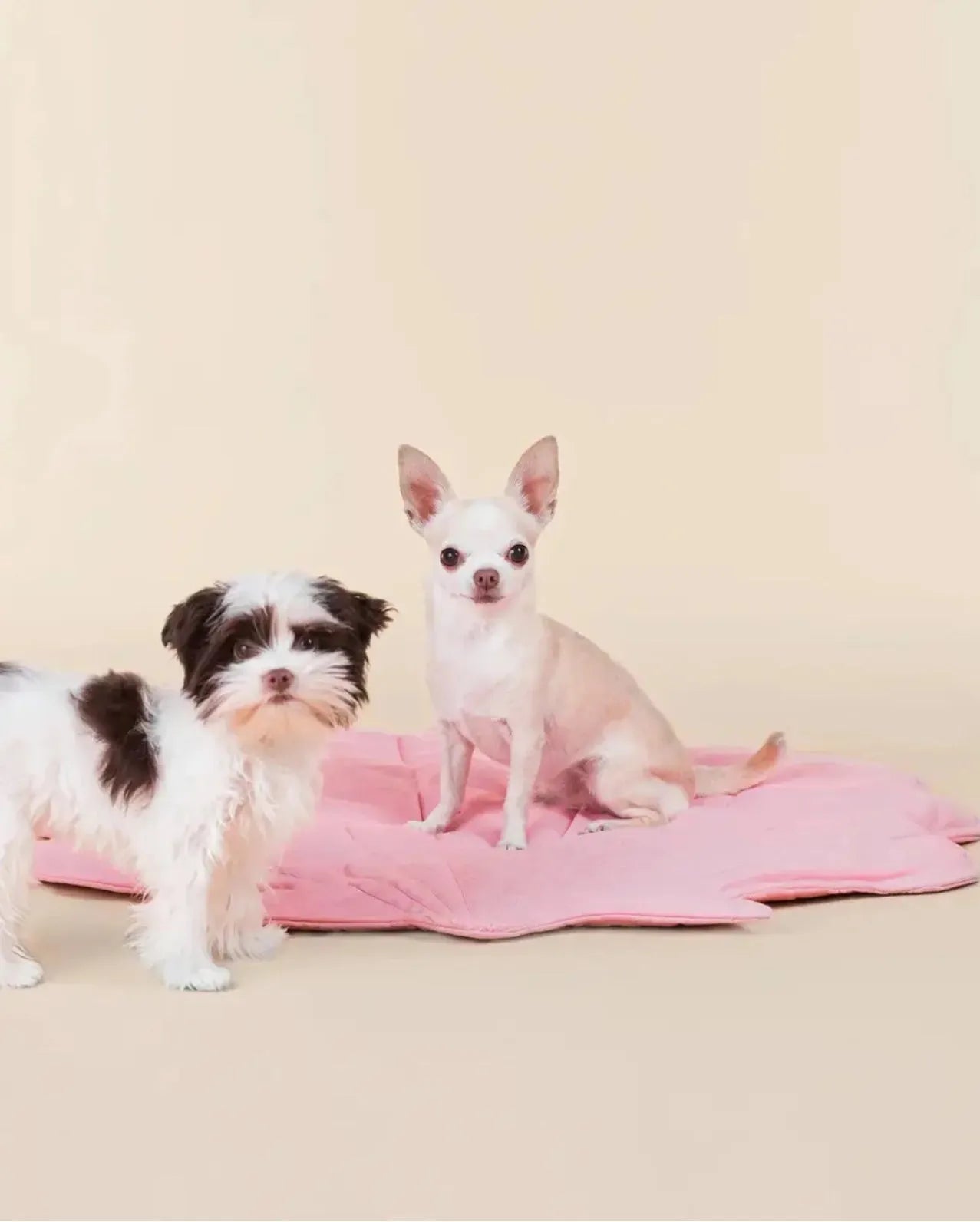 Килимок для собак пошуковий Seashell Playmate Paikka