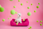 Лежак Dreamer Berry