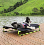 Лежанка для собак Zee.Dog - AIR.BED BLACK