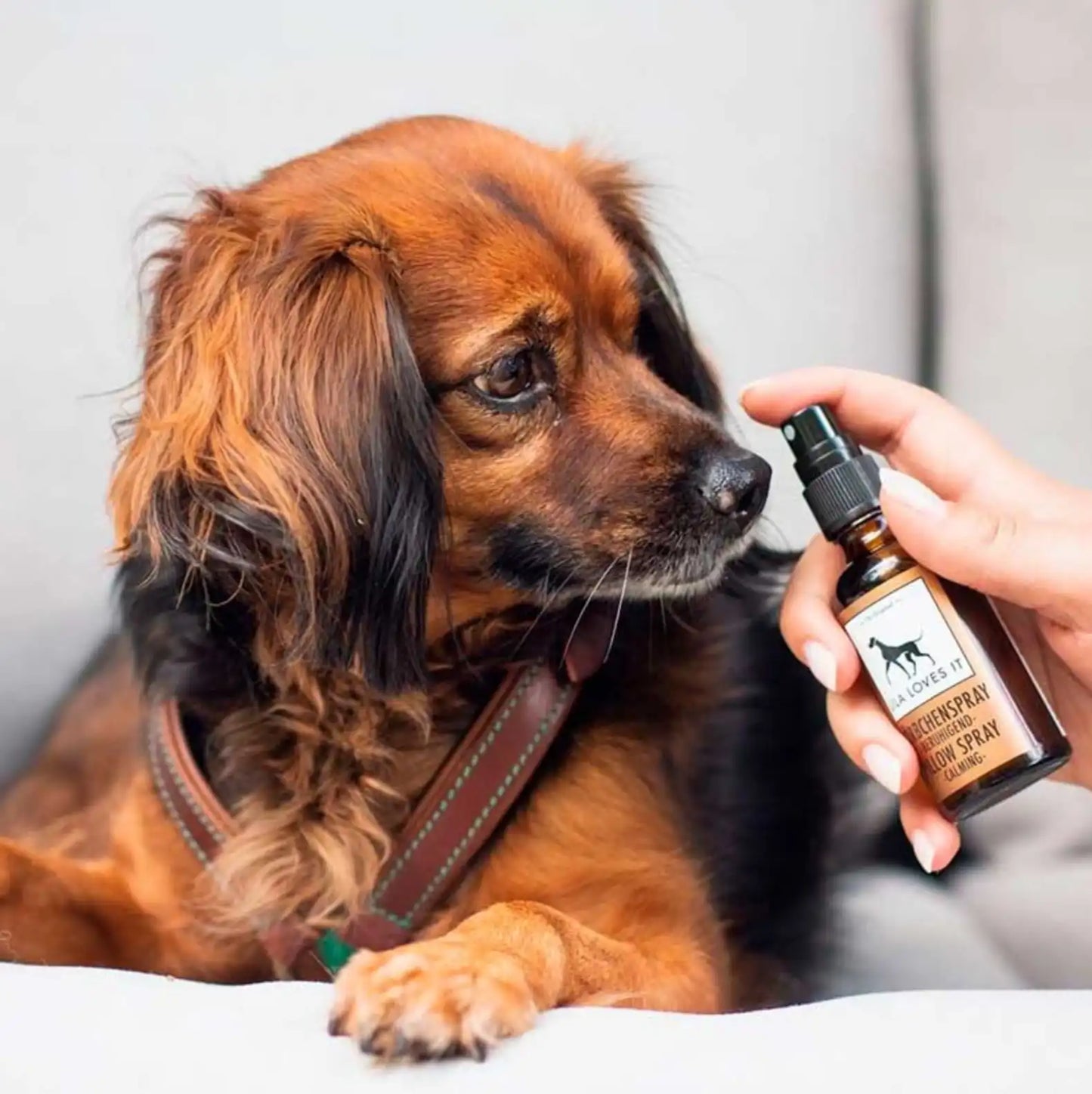 Заспокійливий спрей із ароматом лаванди Lila loves it - Pillow Spray Calming, 50 мл