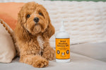 Лососева олія Wild Alaskan Salmon Oil Natural Dog Company, 480мл