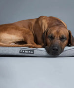 Матрас для собак Охолоджуючий - Ортопедичний Cooling Orthopedic Mattress Grey Paikka