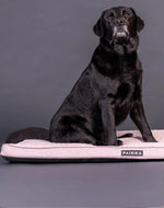 Матрас для собак Охолоджуючий - Ортопедичний Cooling Orthopedic Mattress Pink Paikka