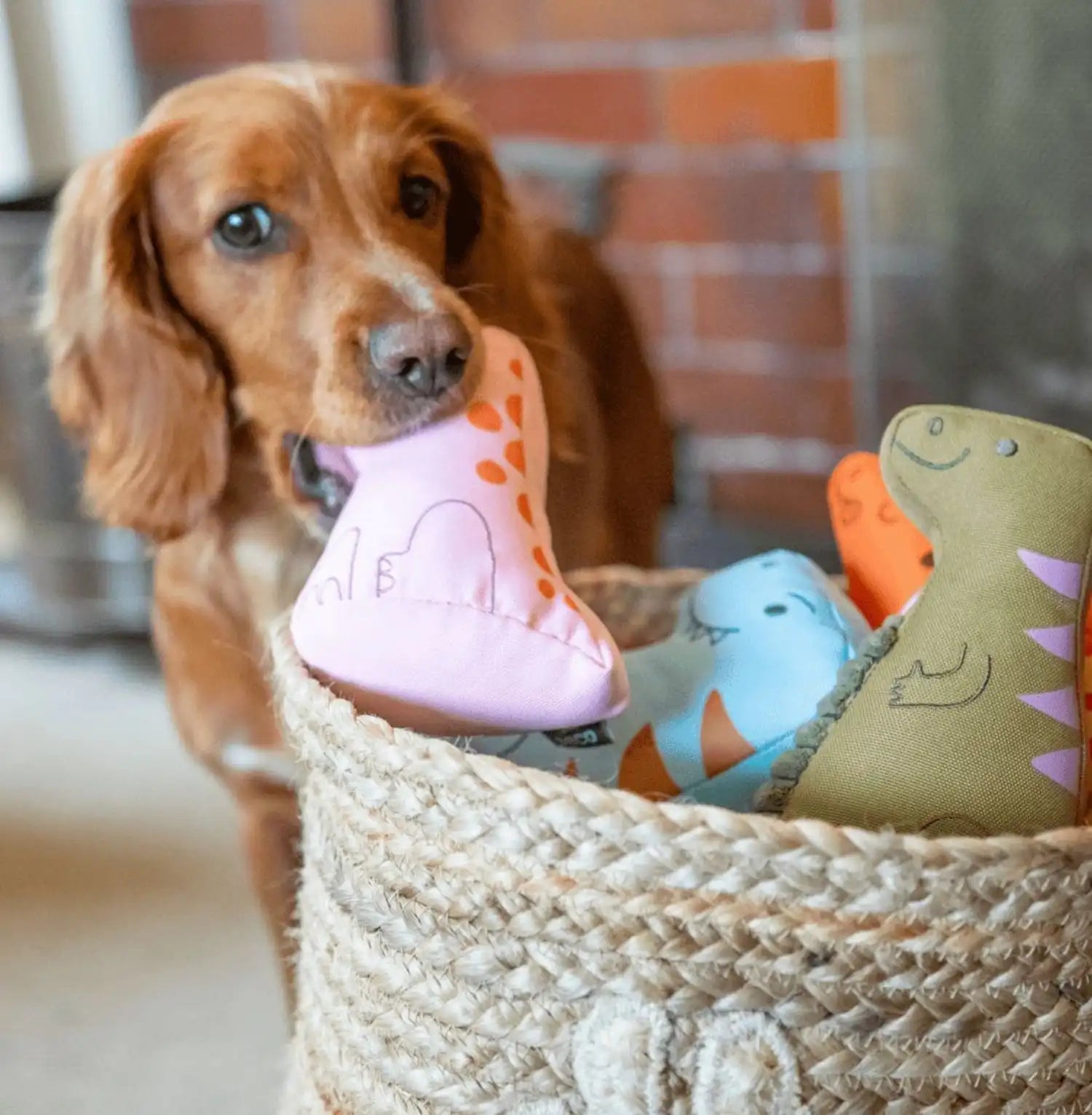 М'яка іграшка для собак Beco Pets Трицератопс Помаранчевий