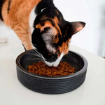 Миска для котів Zee.Dog - Black Duo Bowl
