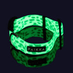 Нашийник для собак Glow Collar 2.0 Paikka