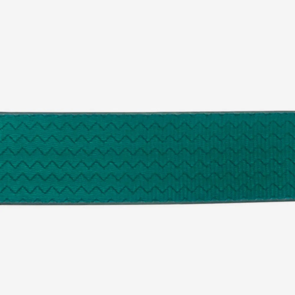 Нашийник для собак Zee.Dog - NeoPro Amazonia