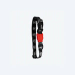 Нашийник для собак Zee.Dog - Collar SKULL 2.0