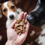 Натуральне печиво для собак Cooka`s Cookies Яловичина з овочами 100 г