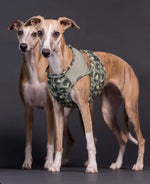 Охолоджуючий жилет для собак PAIKKA Cool Vest Green Leo