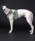 Охолоджуючий жилет для собак PAIKKA Cool Vest Green Leo