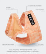 Охолоджуючий жилет для собак PAIKKA Cool Vest Peach