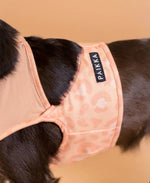 Охолоджуючий жилет для собак PAIKKA Cool Vest Peach