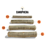 Палиця з оливкового дерева Canophera