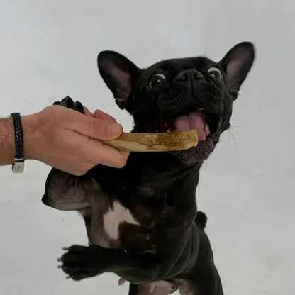 Палиця з кавового дерева для собак HealthyDoggo