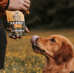 Печиво для собак Beco Pets Арахіс з кокосом і куркумою 70 г (рослинний білок)