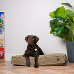 Подушка Memory Foam Cacao