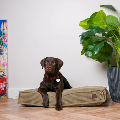 Подушка Memory Foam Cacao
