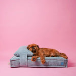 Подушка Memory Foam Mint