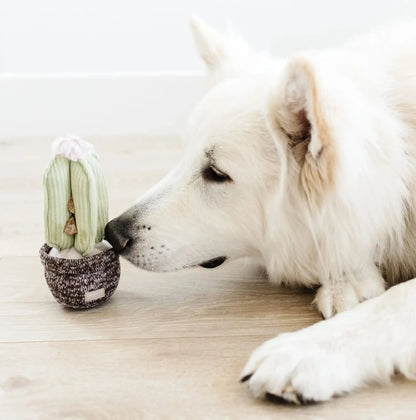 Пошукова іграшка для собак CACTUS Lambwolf