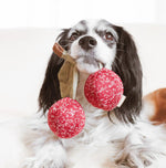 Пошукова іграшка для собак Cherry Pops Lambwolf
