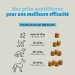 Вітамінний комплекс для собак Delamour Paris Les Bouchées Anxiété