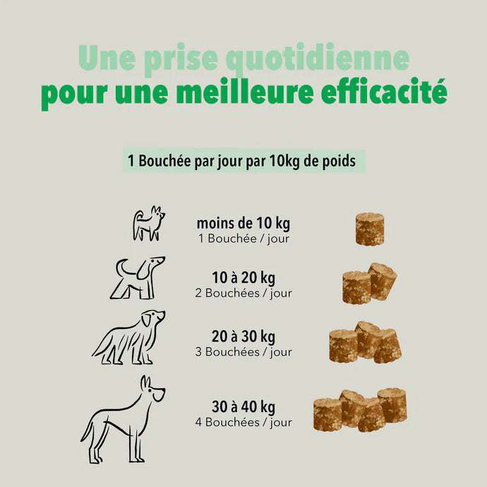 Вітамінний комплекс для собак Delamour Paris Les Bouchées Digestion