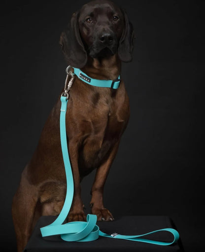 Повідець для собак Glow Leash Aqua 180 см Paikka
