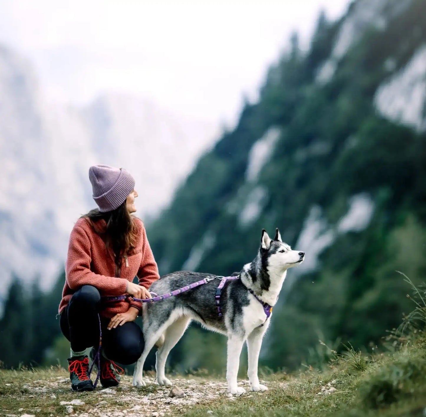 Повідець для собак Northern Lights Wooly Wolf