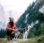 Повідець для собак Northern Lights Wooly Wolf