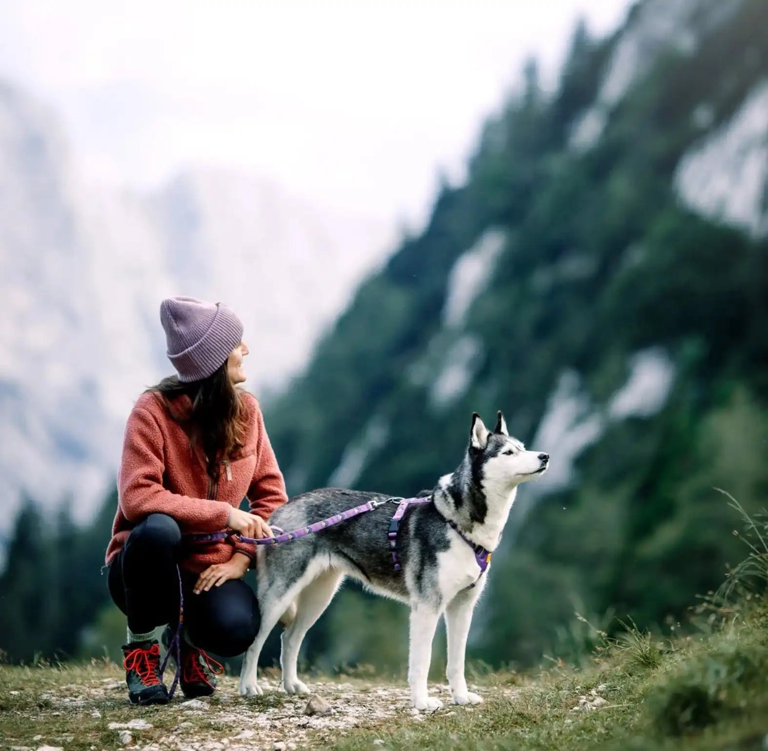 Повідець для собак Northern Lights Wooly Wolf