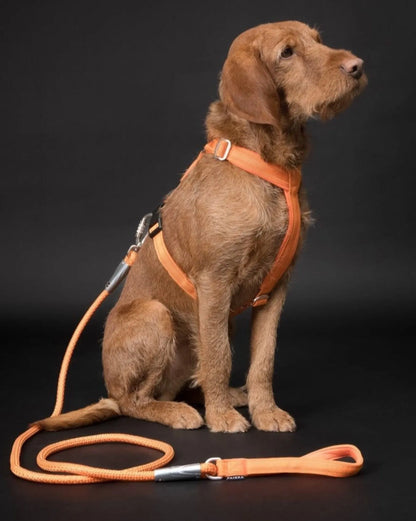Повідець для собак Visibility Rope Leash Orange Paikka
