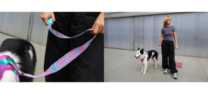 Повідець для собак Zee.Dog - NitLeash Candy 100 см.