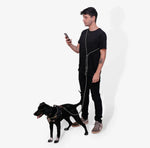 Повідець для собак Zee.Dog - Titanium Grey Hands-Free Leash, 120 - 240 см