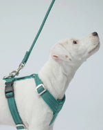 Повідець для собак Visibility Rope Leash Emerald Paikka