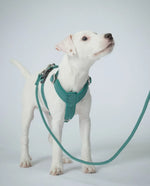 Повідець для собак Visibility Rope Leash Emerald Paikka